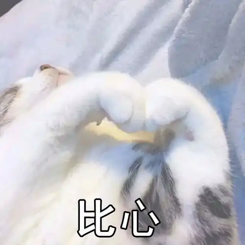 影视书籍
