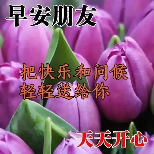 美女表情包人的成熟,不是经历多少,而是经历后的沉淀与思考