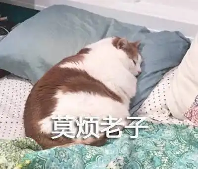 李姐讲笑话吧丑男拿著九十九朵玫瑰献给漂亮的女同事
