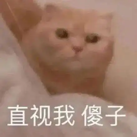 今日份沙雕搞笑表情包
