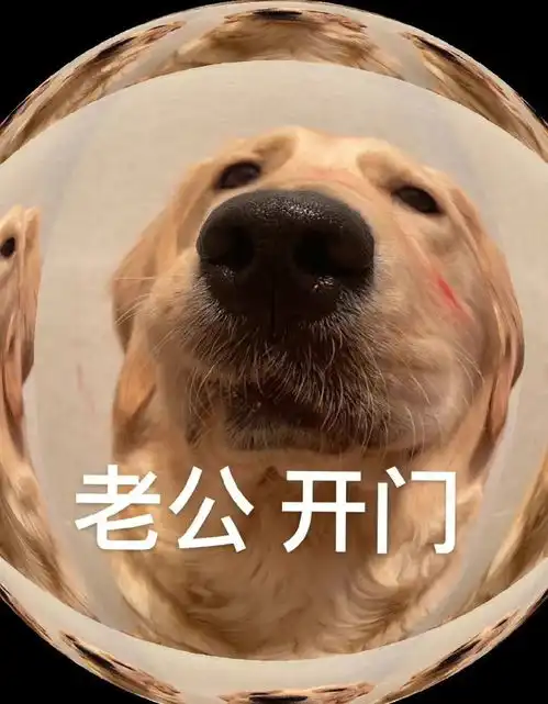 哄对象专用表情包老婆开门呀
