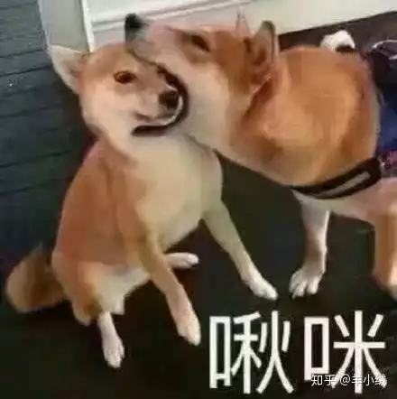 哪家银行信用卡可以去机场vip
