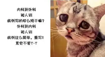 学医前学医后大对比,你是不是每条都中
