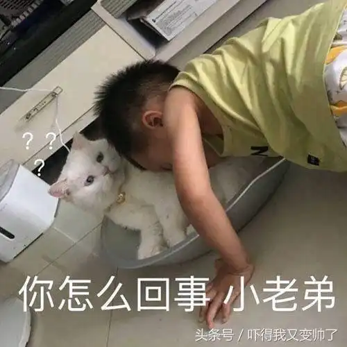 开心一刻笑话跟侄子逛街时,有看到有个女的跪在路边讨钱买车票
