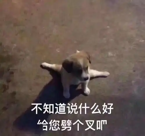 蹭热度,你配吗
