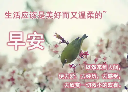 清晨问候祝福语动画表情动态图片早安最新暖心问候语句
