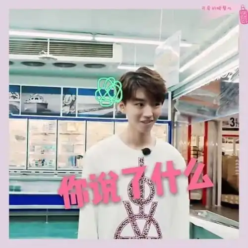 tfboys微信聊天表情包
