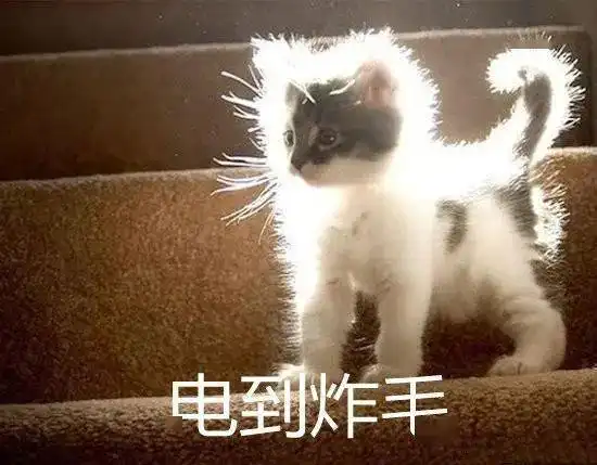 新一轮降温又来了最近广东人的阳台少不了这种美食
