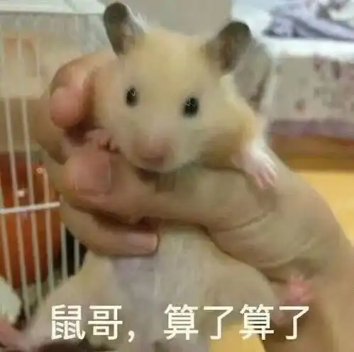 各种哥算了表情,用在你身边的猴哥鸡哥狗哥身上刚好
