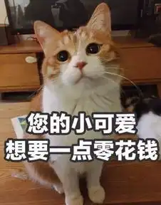 如何优雅的讨要生活费
