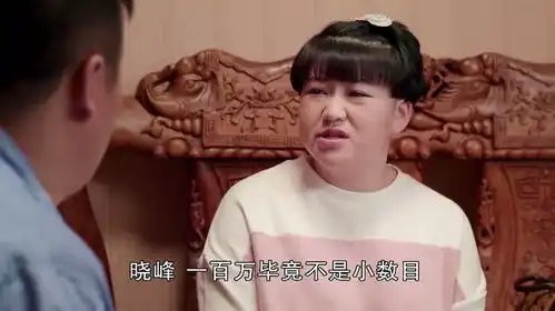 乡村爱情8晓峰要承包山庄,来找杜悦借钱,一开口竟是一百万
