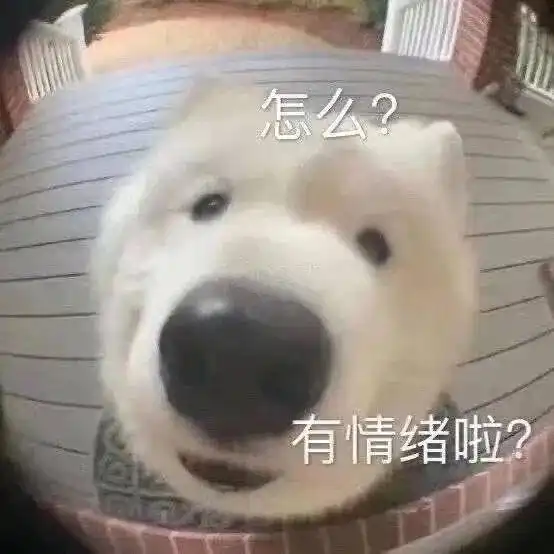e句话喊自己小孕妇,金靖被审判了