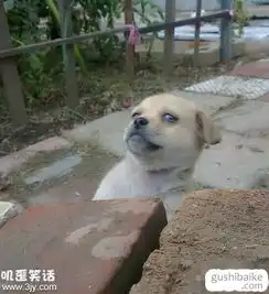 笑话故事大全海量经典笑话故事故事百科
