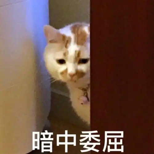 芦丹氏长筒丝袜50ml
