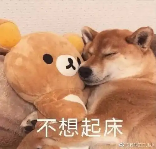 腾讯新闻
