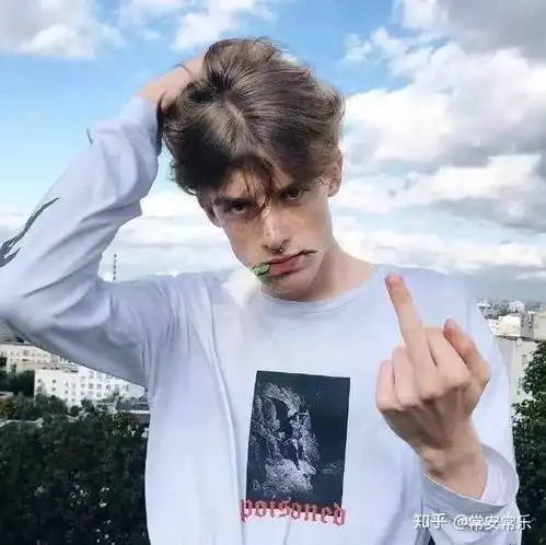 有没有竖中指表情包做头像的那种
