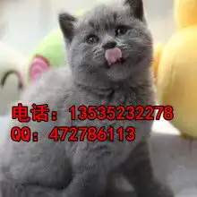 广州幸运猫园