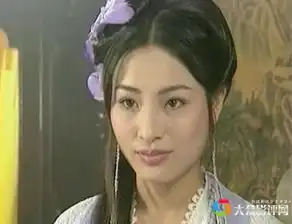 她是赵薇的同学和闺蜜更是小李飞刀的李仙儿
