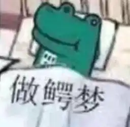 有没有人和我一样几乎每天做噩梦阿
