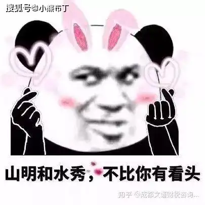 成都锦江区代理记账
