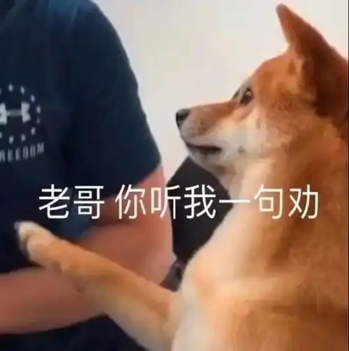 哔哩哔哩专栏
