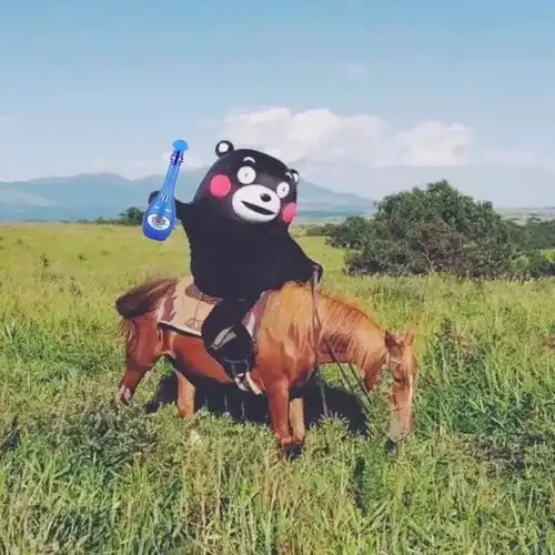 我为球凉,更为歌狂听说,这个夏天的演唱会都被洋河承包了......
