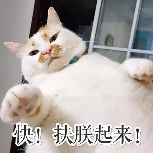 期末学习学到骨骼清奇
