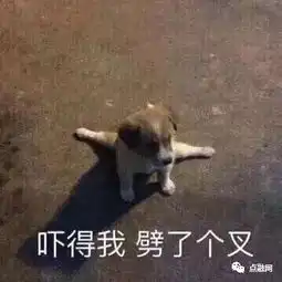 我有100万,不工作能活多久在上海能活15年
