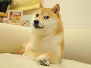 光知道表情,你知道doge是什么狗么
