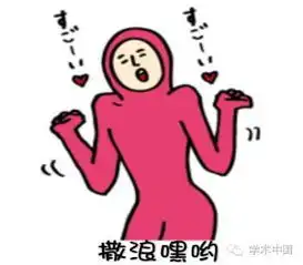 520不同专业的表白方式,你学会了吗
