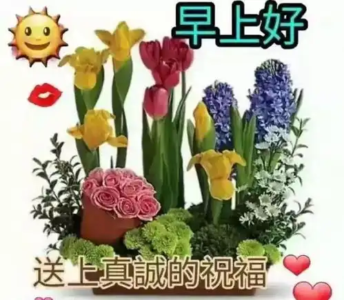 早上好图片祝福语,朋友圈群发祝福表情包,早安
