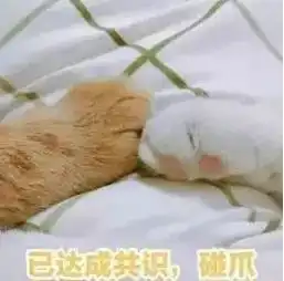 七夕没得送,只好送给你一个笑话笑晕了
