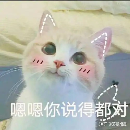 优惠券比较全的app是那个
