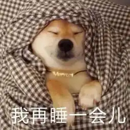 高清无水印柴犬专用表情包微笑中透露着贫穷

