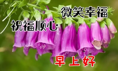 2020早安祝福语图片带字美图祝福,最漂亮早上好表情图片精选
