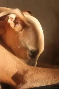 自拍这么火,你表情到位了吗
