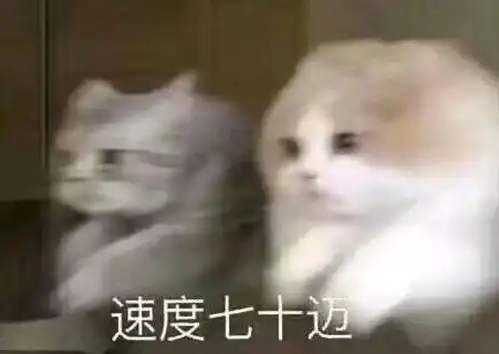宣布了他们五一连休10天,不调休
