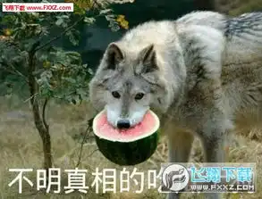 微博吃瓜表情包无水印版下载微博吃瓜表情包图片合集下载飞翔下载
