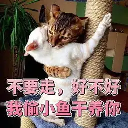 打开之前一定别喝水,因为要笑到抽筋,哈哈哈哈...

