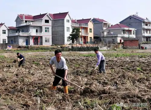2021年,农村土地承包补贴多少钱农民抓紧时间看看

