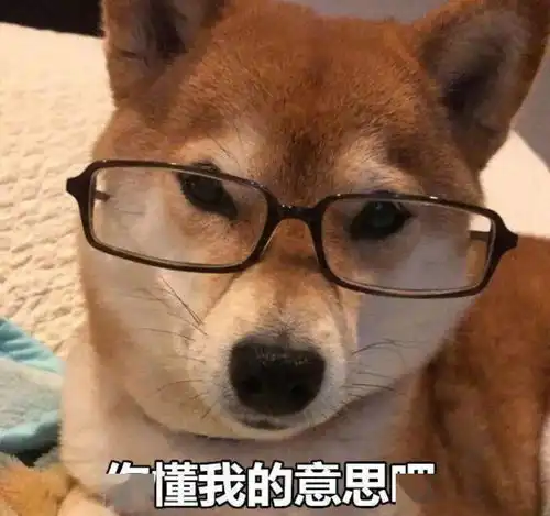 幽默的边界在哪
