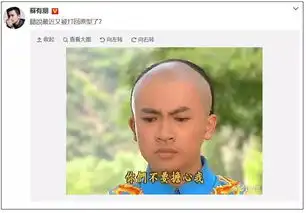 来韶苏有朋为什么总是转型失败因为还珠格格又重播了
