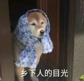网红街拍发型图鉴

