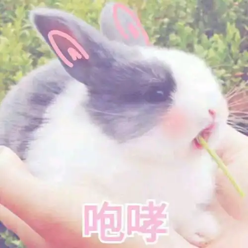 中央音乐学院淘宝消费居榜首揭秘音乐生的钱都花在哪儿了
