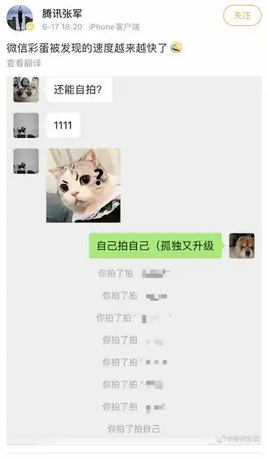 别拍了你拍到我脑花了