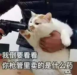 猫咪表情包合集我没事,我很快乐
