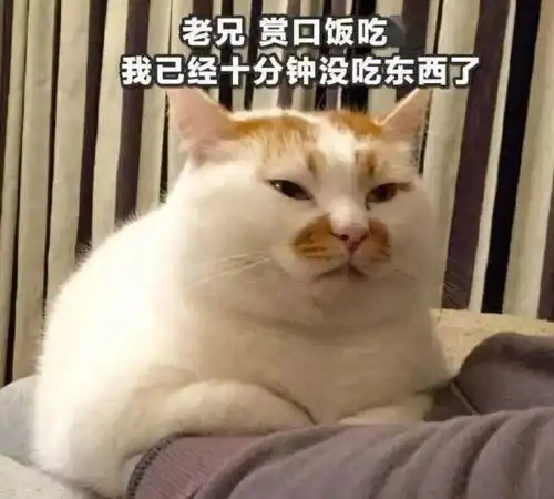 每日一笑你那些狐朋狗友叫你出去喝酒能出个稍微高明的招儿吗
