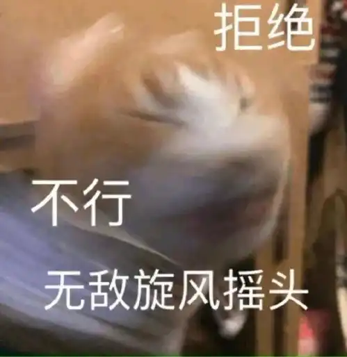 表情包小猫小狗的表情包
