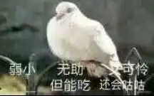 2020六盘水水城县彝族火把节
