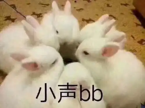 兔子亲一口表情包咬掉